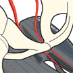 Men's Sitbones on Saddle